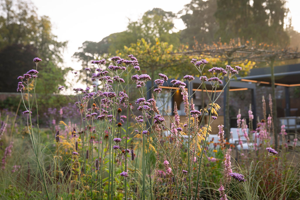 Walled garden with neat hedge, seating area and shrubbery.